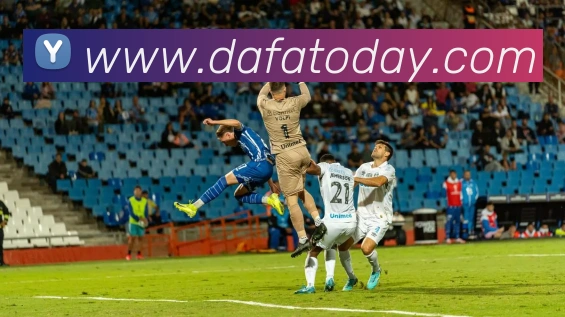 大发官网平台生态图