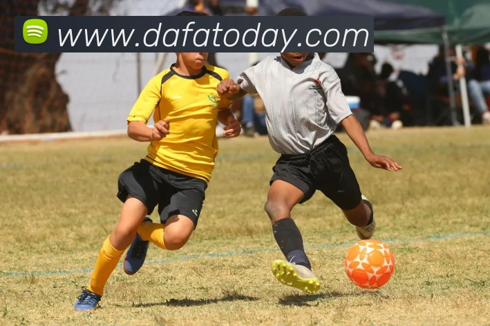 大发官网APP 封面图